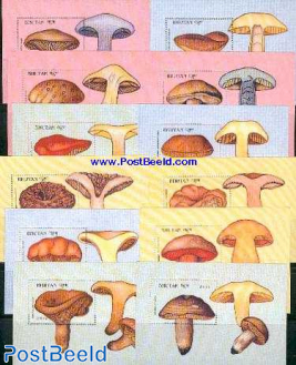 Mushrooms 12 s/s