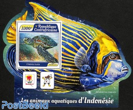 aquatic animals of indonesia