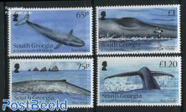 Blue Whale 4v
