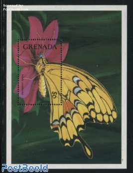 Papilio cresphontes s/s