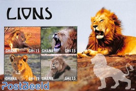 Lions 4v m/s