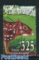 Mammals 1v, Cuniculus paca