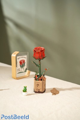 Rowood ~ Red Rose