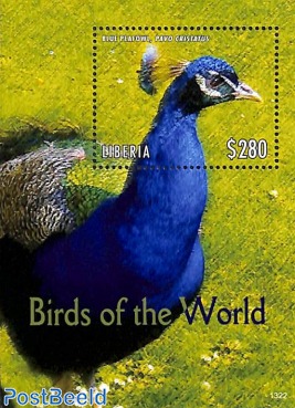 Birds of the world s/s