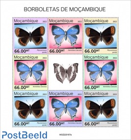 Butterflies of Mozambique
