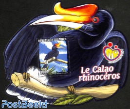 the calão rhinoceros