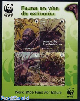WWF, Otters 4v m/s