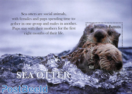 Sea Otter s/s