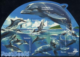 Pacific explorer, dolphins s/s