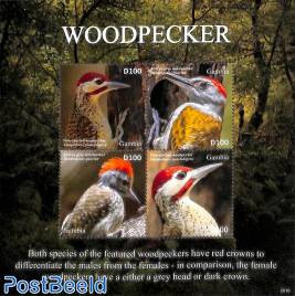 Woodpecker 4v m/s