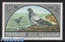 Pigeon 1v, overprinted