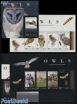 Owls 4 s/s