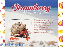 Strawberry Hermit Crab s/s