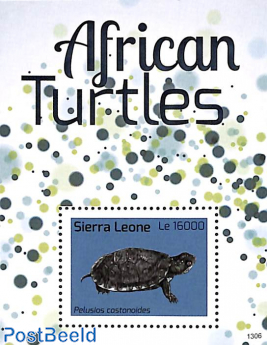 African turtles s/s