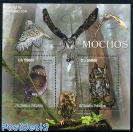 Owls 2v m/s