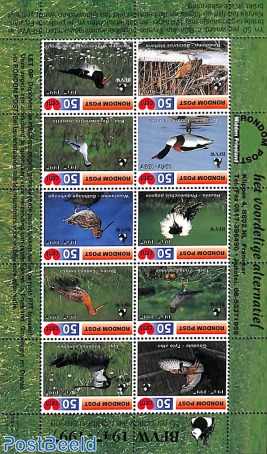 Sheet local mail , birds