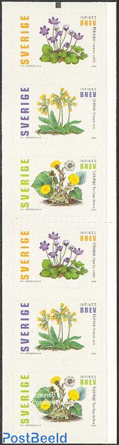 Spring flowers booklet