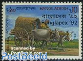 Banglapex 1v