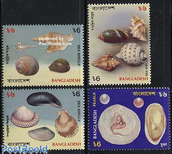 Shells 4v