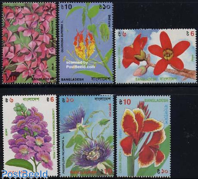 Flowers 6v