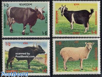 Cattle 4v
