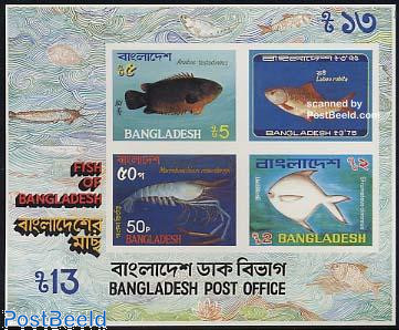 Fish s/s