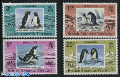 Penguin 4v