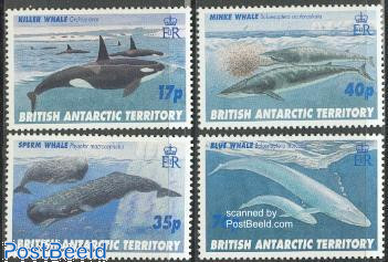 Whales 4v