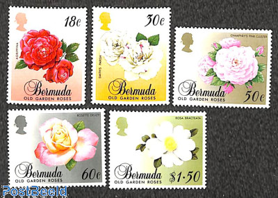 Roses 5v