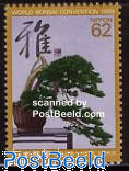 Bonsai congress 1v