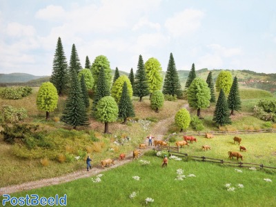 Hobby ~ Mixed Forest 3,5-9cm (25pcs)