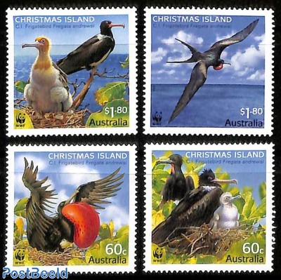 WWF, Frigate birds 4v