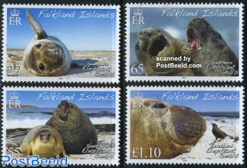 Southern elephant seal 4v