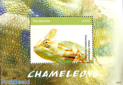 Chameleons s/s