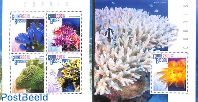 Corals 2 s/s
