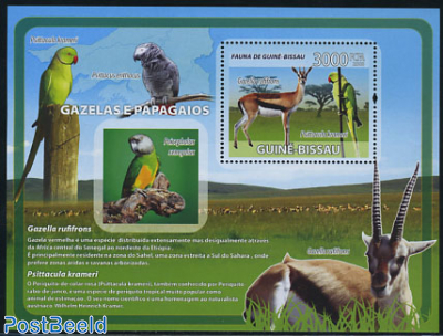 Gazelle, parrot s/s