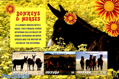 Donkeys and horses 3v m/s