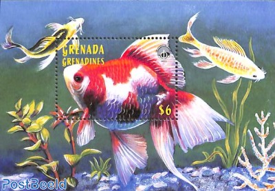 Ocean year s/s, goldfish