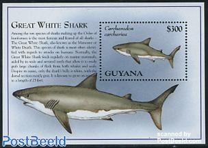 White shark s/s