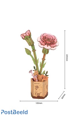 Rowood ~ Pink Carnation