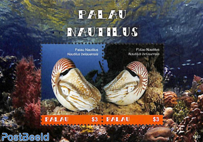 Nautilus s/s