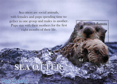 Sea Otter s/s