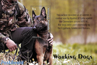 Working dogs s/s