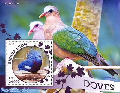 Doves/ Pigeons