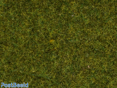 Scatter Grass ~ Meadow 2,5mm (20g)
